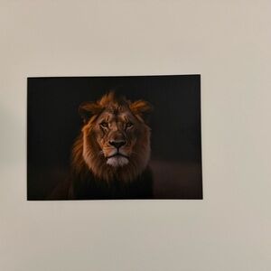 Majestic Lion Wall Art in Black and Brown